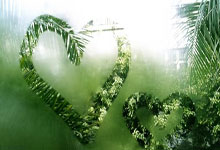 奇异果体育官网：[英超]京多安断球妙传 马尔穆什劲射破门.